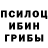 Псилоцибиновые грибы GOLDEN TEACHER Samoil Maria