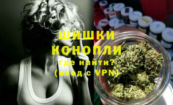 прущие грибы Краснотурьинск