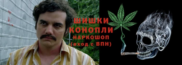 прущие грибы Красноперекопск