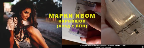 прущие грибы Красноперекопск