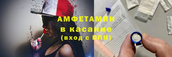 прущие грибы Краснотурьинск