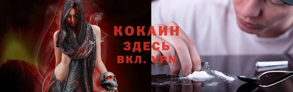 прущие грибы Краснотурьинск
