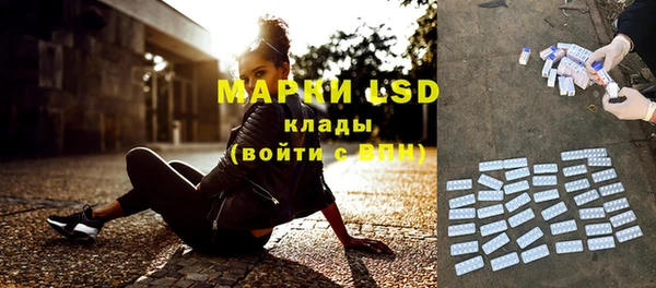 прущие грибы Красноперекопск