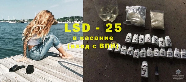 прущие грибы Краснотурьинск