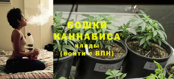 прущие грибы Краснотурьинск