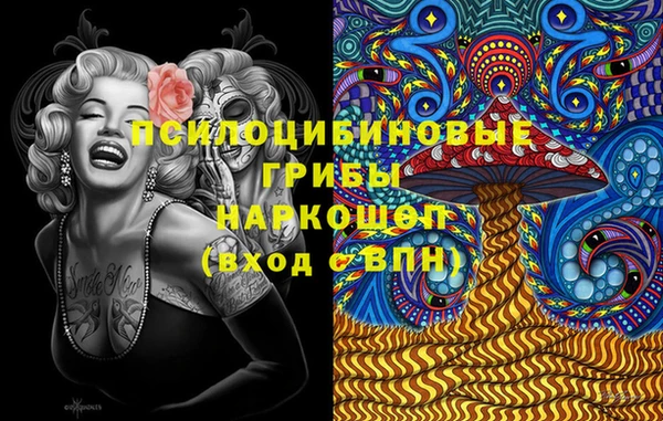 прущие грибы Краснотурьинск