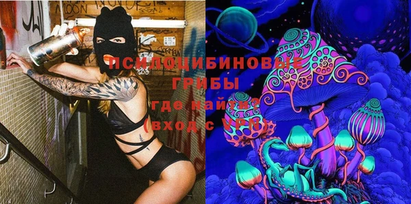 прущие грибы Краснотурьинск