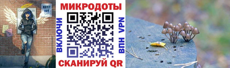 Купить где  Красноуфимск  Галлюциногенные грибы Psilocybine cubensis 